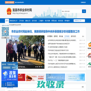 丫丫影院