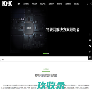 比亚迪半导体代理商_比亚迪半导体_比亚迪半导体公司_深圳市康力佳电子科技有限公司
