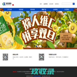 安发国际控股集团