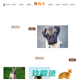 狗吧宠物服务中心