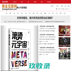 商业互联网