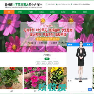

		青州市缘来花卉苗木有限公司—时令草花_宿根花卉_水生植物_青州苗木_青州园林工程_绿化苗木	