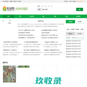 杜仲的功效及用途_杜仲树_杜仲价格-农苗网