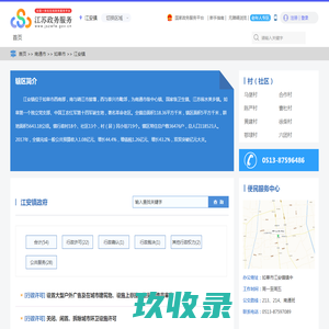 江安镇政务服务网