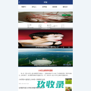 RF网