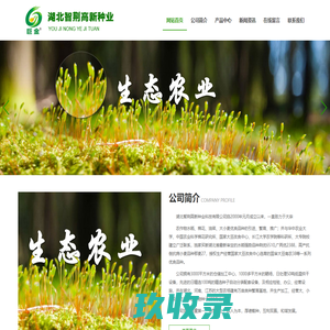 湖北智荆高新种业科技有限公司