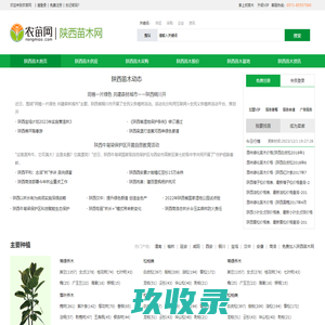 陕西苗木_陕西苗木基地_11月陕西苗木价格_陕西苗木网-农苗网