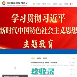 四川能投鼎盛锂业有限公司