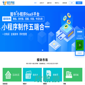 挺牛小程序平台-挺牛网络(tingniu.com)