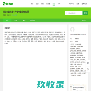 网站截图