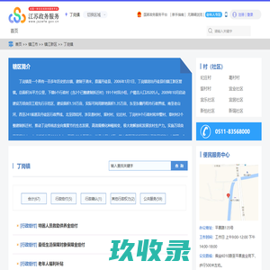 丁岗镇政务服务网