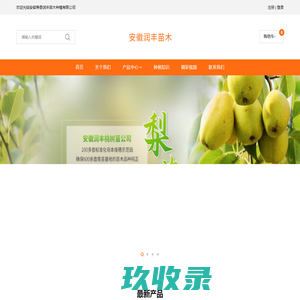 梨树苗_桃树苗_果树苗批发价格-安徽寿县润丰苗木种植有限公司