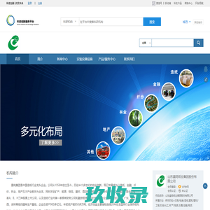 山东晨鸣纸业集团股份有限公司 - 科技创新服务平台