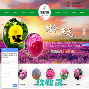 青州市寰瑞花卉苗木专业合作社-宿根花卉,景观花海,观赏草系列,草花系列,水生植物,月季系列