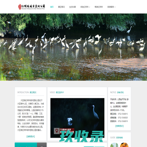 大亚湾红树林城市湿地公园 - 大亚湾红树林城市湿地公园