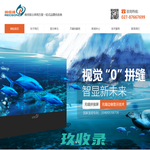 锐信达LED显示屏-武汉锐信达信息技术股份有限公司