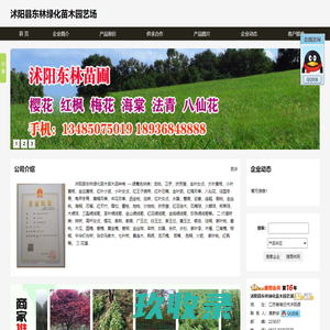 沭阳县东林绿化苗木园艺场 - 主营榉树朴树蔷薇.连翘.红梅木槿红瑞木迎春.女贞小檗月季榆叶梅.垂柳国槐.法桐.垂柳.紫薇紫荆海棠碧桃樱花.红叶李卫矛剑麻银杏