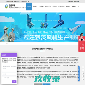 罗茨风机-三叶罗茨鼓风机厂家 - 引持环保