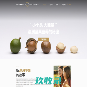 网站截图