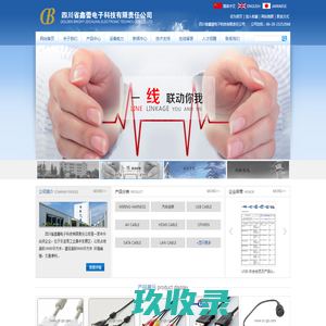 四川省鑫蕾电子科技有限责任公司