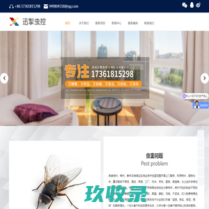 网站截图