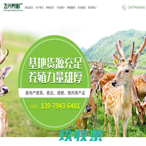抚州市东乡区飞兴养殖厂