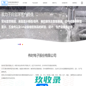 伟时电子股份有限公司