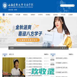 网站截图