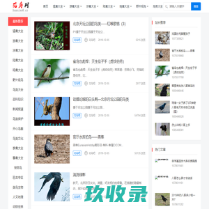花鸟吧专注鸟类爱护，鸟类饲养，鸟类知识大全，鸟类大全，鸟类网