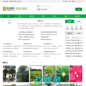 苏铁是什么植物_苏铁图片_苏铁价格-农苗网