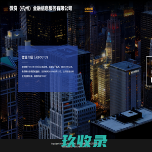 微贷（杭州）金融信息服务有限公司