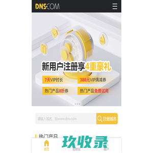 帝恩思-DNS.COM：DNS综合服务提供商-免费DNS解析-云解析-高防CDN-DNS劫持-SSL证书-网站劫持检测-宕机监控-云服务器ECS