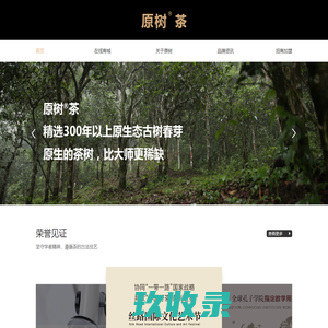 原树茶-原生的茶树，比大师更稀缺