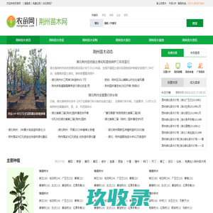 荆州苗木_荆州苗木基地_11月荆州苗木价格_荆州苗木网-农苗网