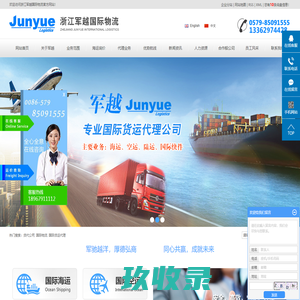 网站截图