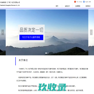 竹林新桥（广州）电子有限公司-首页