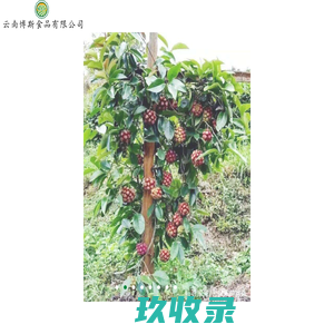 云南博斯食品有限公司