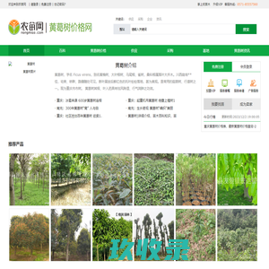 网站截图