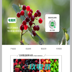 电果网商城