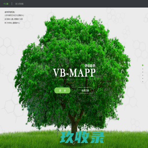 VB-MAPP评估工具