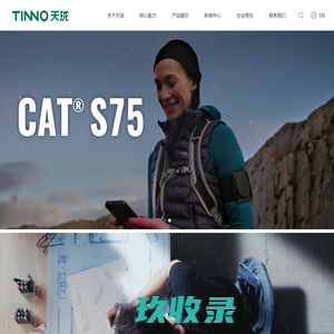 网站截图