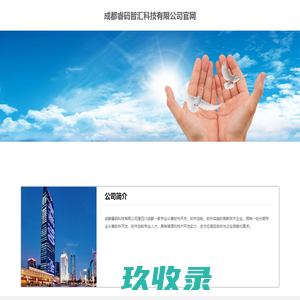 成都睿码智汇科技有限公司