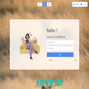 正宸科技