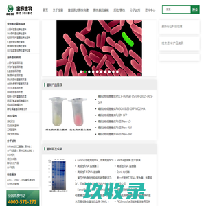 化学吸附_化学吸附仪_比表面积_真密度_微反装置——彼奥德官网