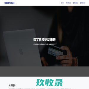 深圳市智眼数字科技 - 区块链与大数据技术专家