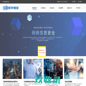 数字奇安集团