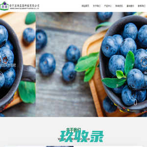 安宁滇湖蓝莓|昆明蓝莓