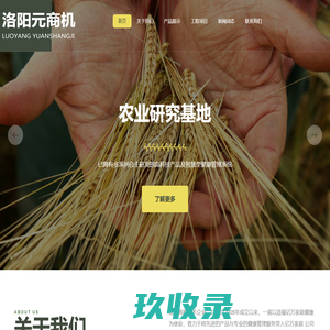 洛阳元商机网络技术有限公司 - 河南特产网