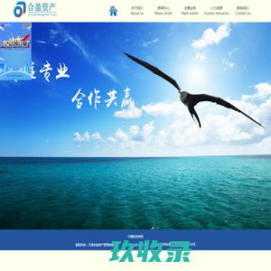 
	天津合盈资产管理有限公司

