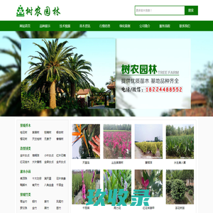 网站截图